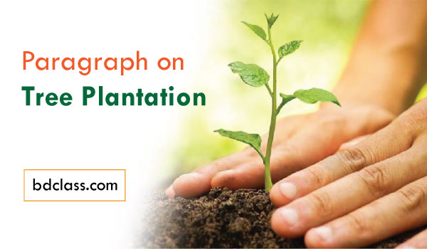 Tree Plantation Paragraph for HSC Tree Plantation Paragraph for HSC